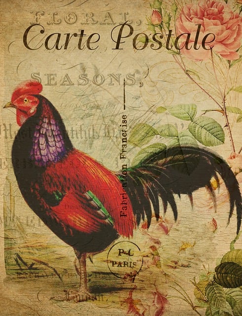Postkarte mit Hahn drauf