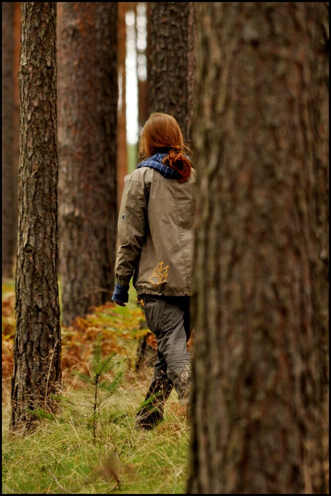 Wald