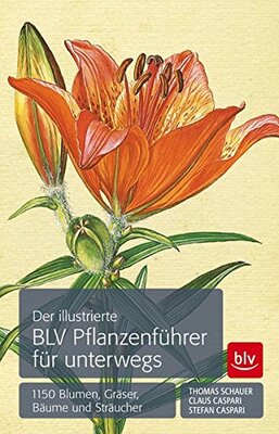 das Buch