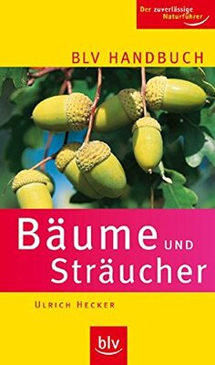 das Buch