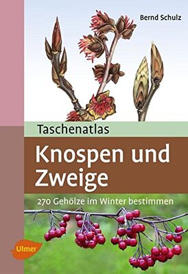 das Buch