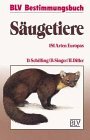 das Buch