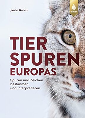 das Buch